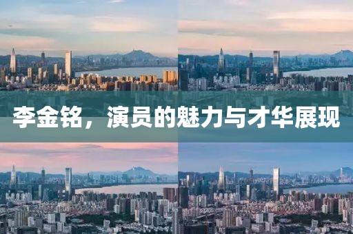 李金铭，演员的魅力与才华展现