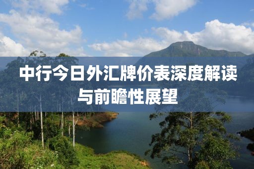 中行今日外汇牌价表深度解读与前瞻性展望