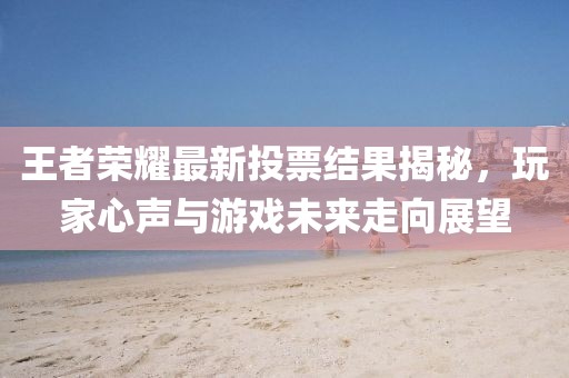 王者荣耀最新投票结果揭秘，玩家心声与游戏未来走向展望