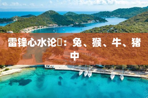 雷锋心水论枟：兔、猴、牛、猪中