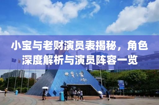 小宝与老财演员表揭秘，角色深度解析与演员阵容一览