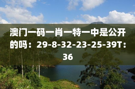 澳门一码一肖一特一中是公开的吗：29-8-32-23-25-39T：36
