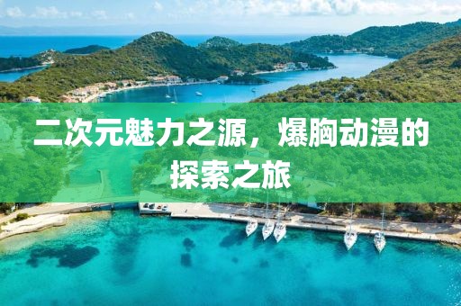 二次元魅力之源，爆胸动漫的探索之旅