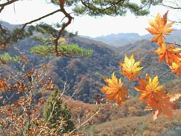 新澳门最精准正最精准：6-14-11-42-28-40特别号码：47
