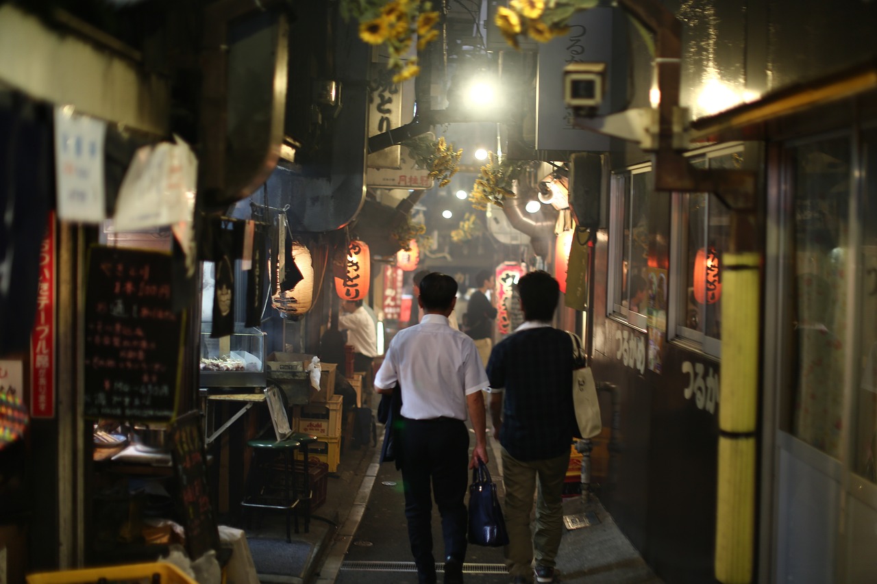 日本明星跨界之路，多元魅力的展现与下海之路的探索