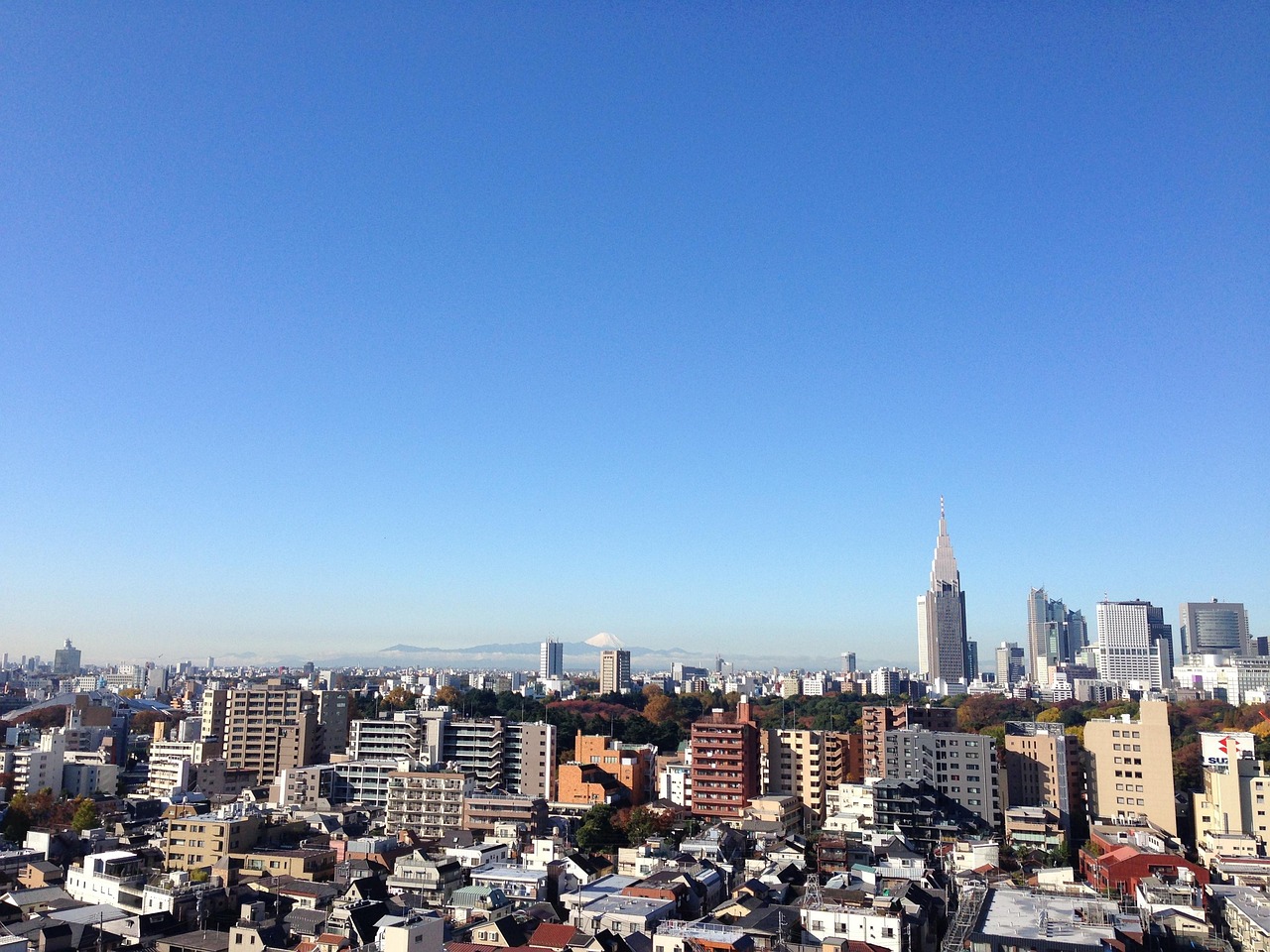 临安土地最新出让信息，揭示城市发展与土地市场动态紧密联系