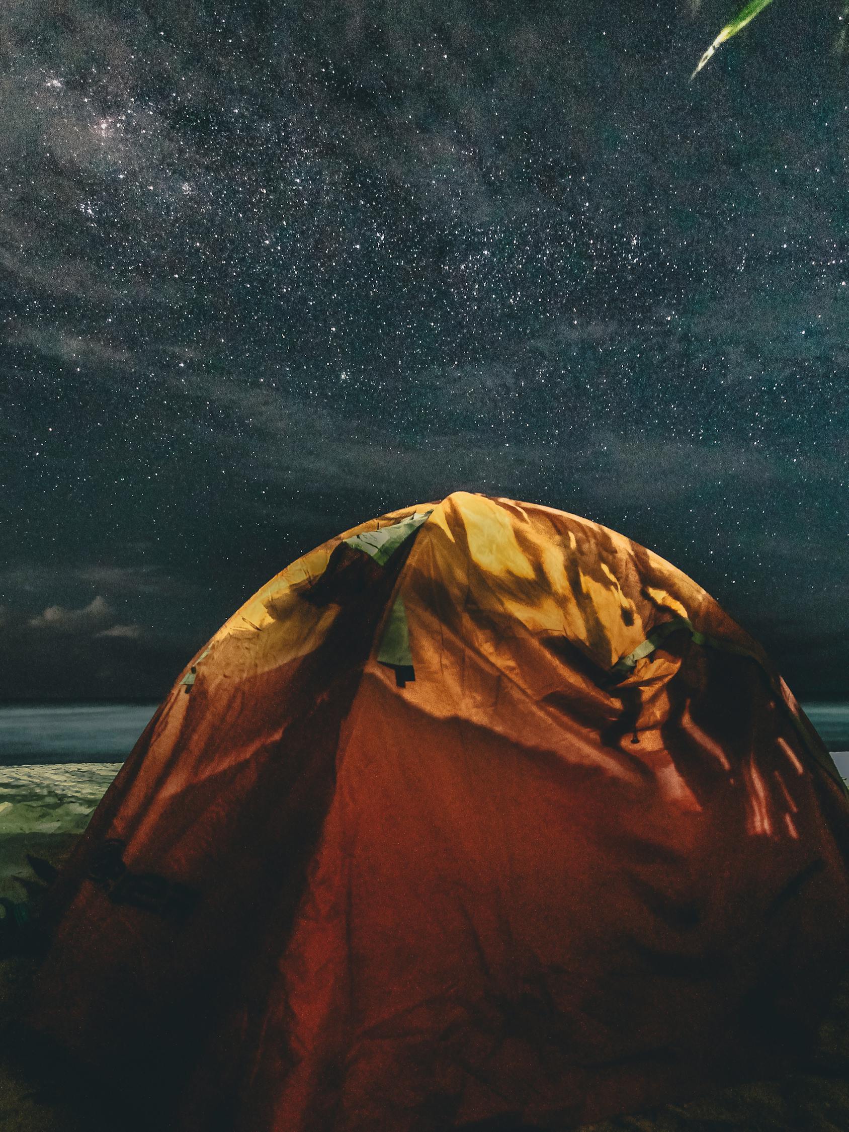 荒野求生全明星，超越极限的生存挑战之旅