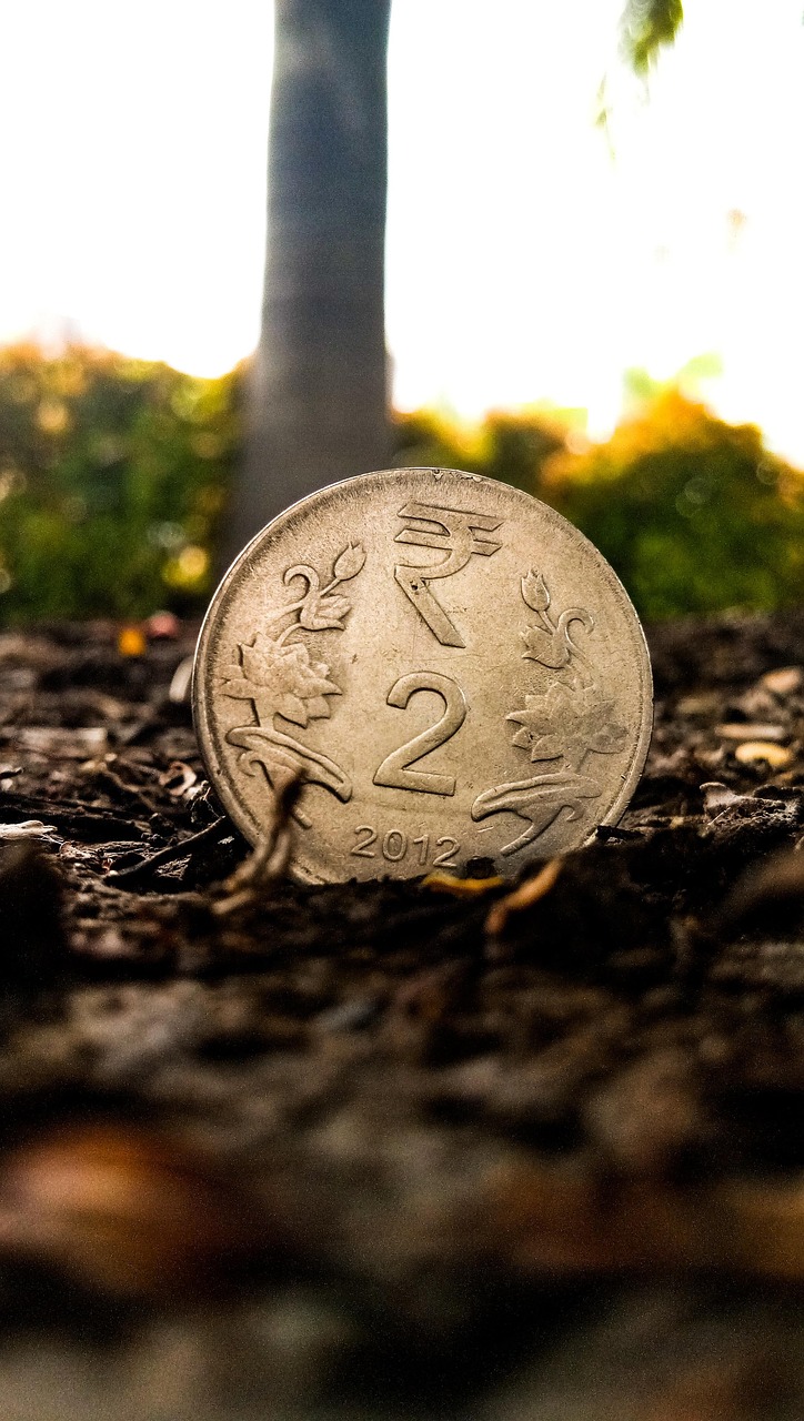 东阳光股票股吧，投资潜力与市场动态深度解析