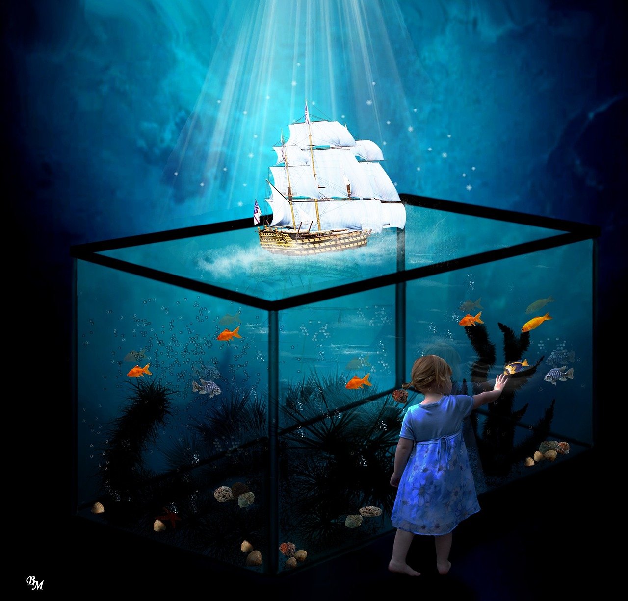 深海水族馆神秘鱼类揭秘，深海生物的奥秘与魅力探索