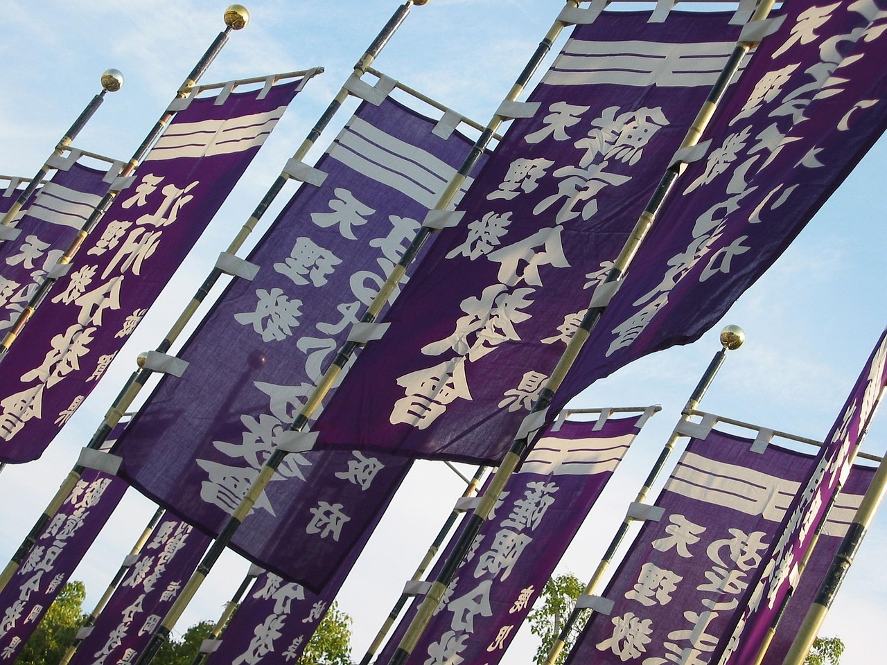 全球各国国旗的最新动态与演变