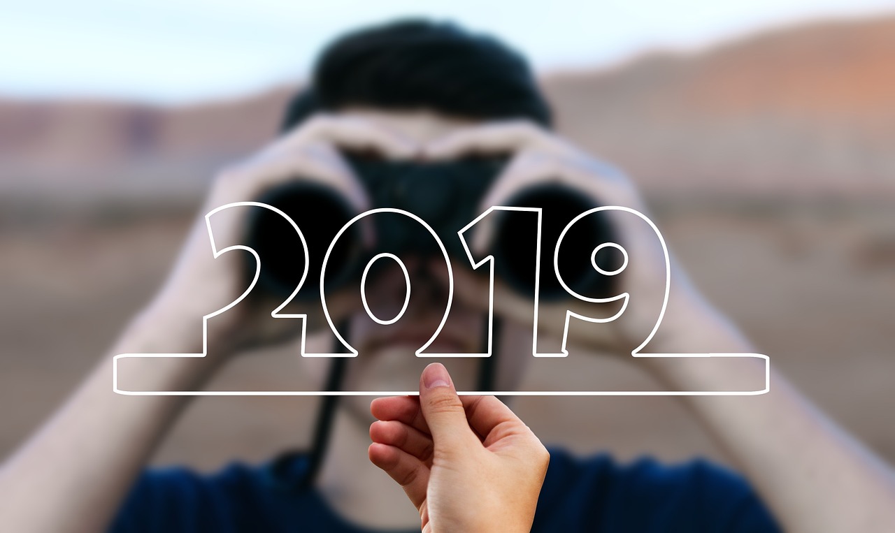 今年大葱行情展望，机遇与挑战并存