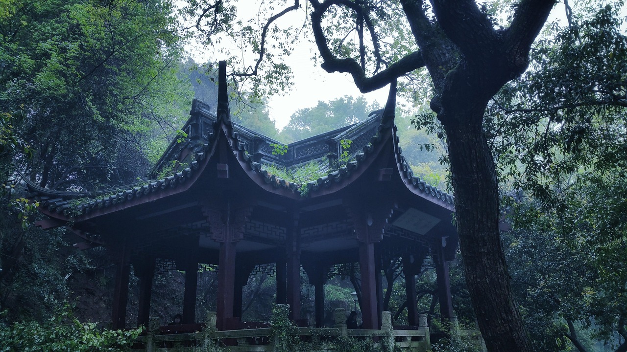 古诗词朗诵比赛视频，传承文化之美，展现诗词韵味