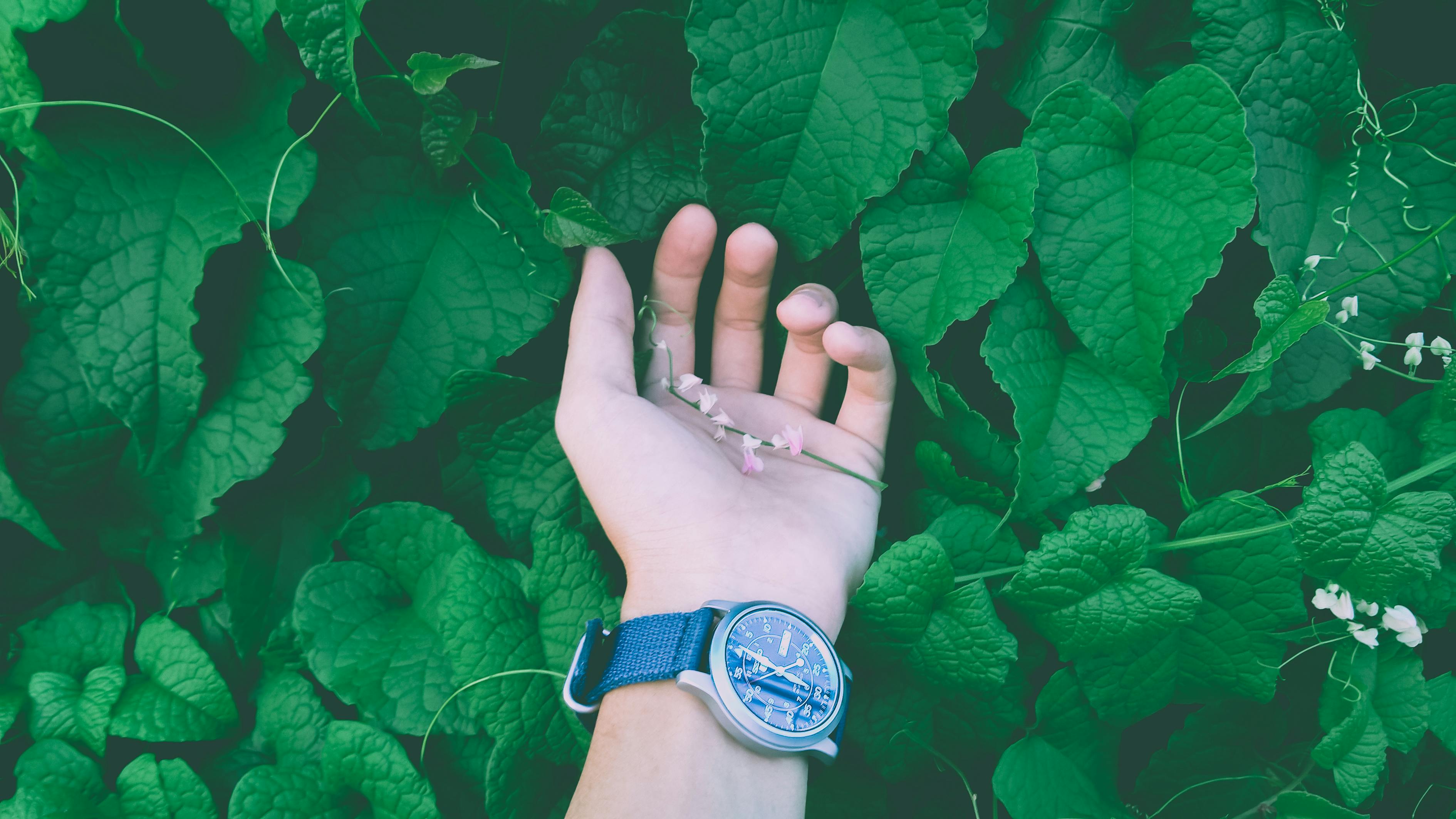 渴夏的独特魅力与体验，最新时尚一览