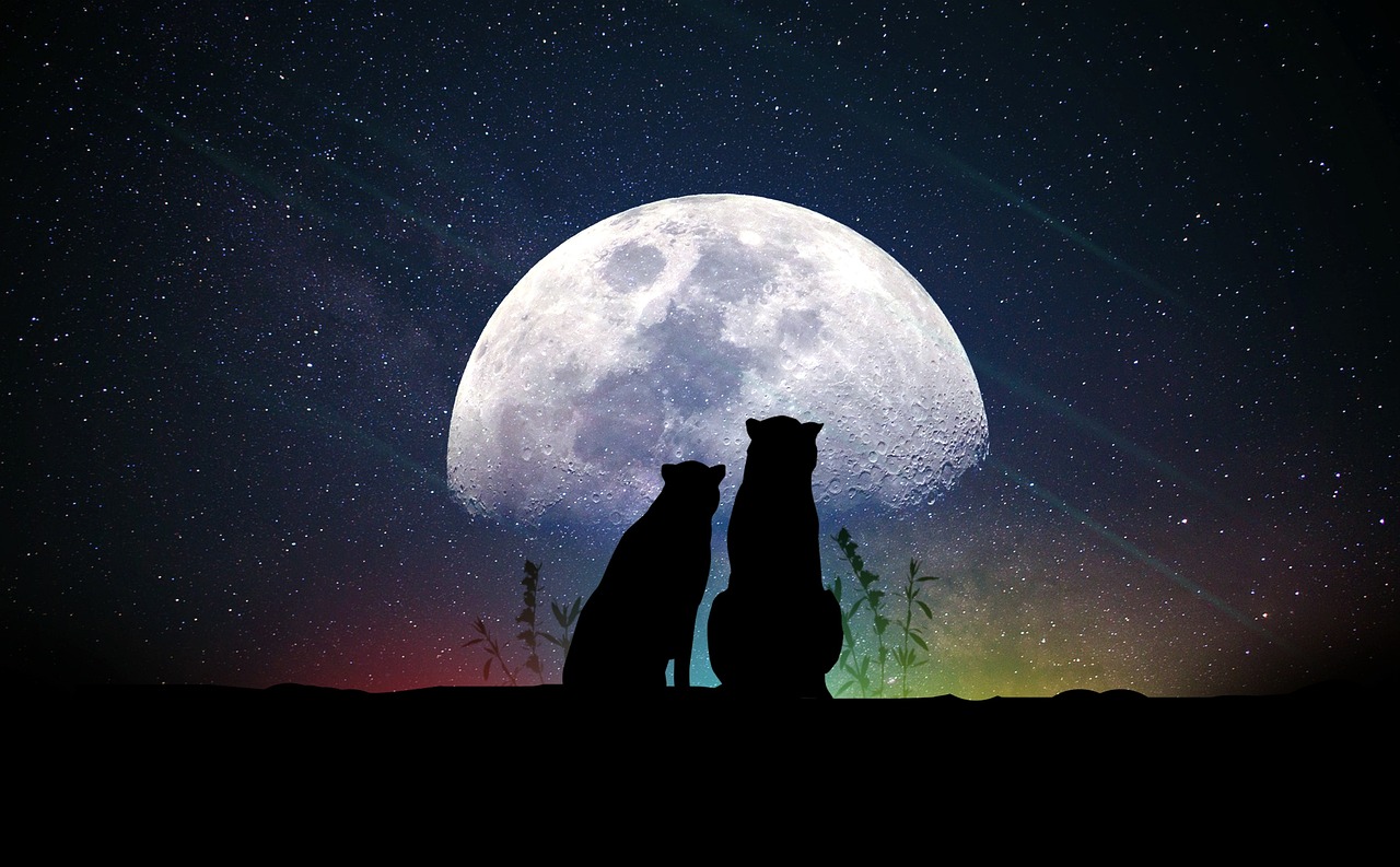 高清明星图片，探索魅力无限的星光照耀世界
