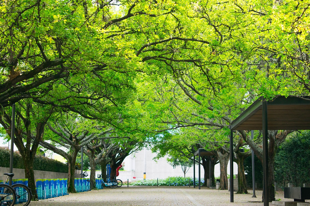 北京雾霾防治新举措，重塑绿色城市的探索之路