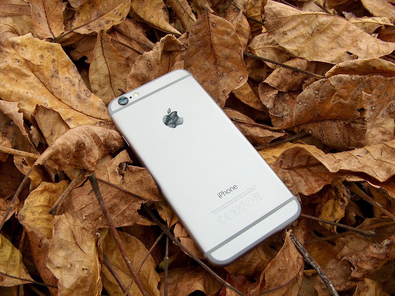 苹果官网iPhone 14 Pro价格详解