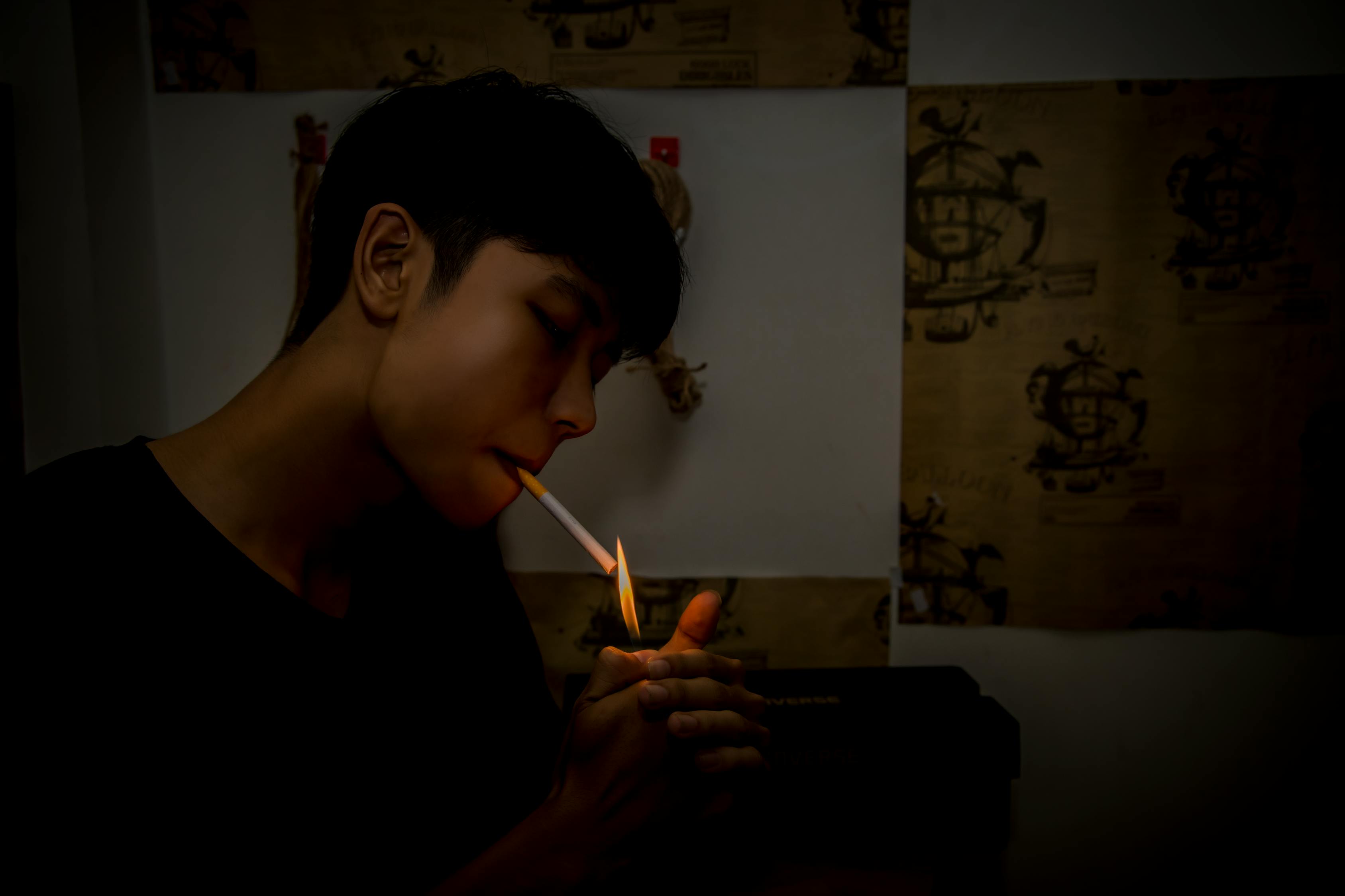 法中情电影，法律与情感的交织探寻