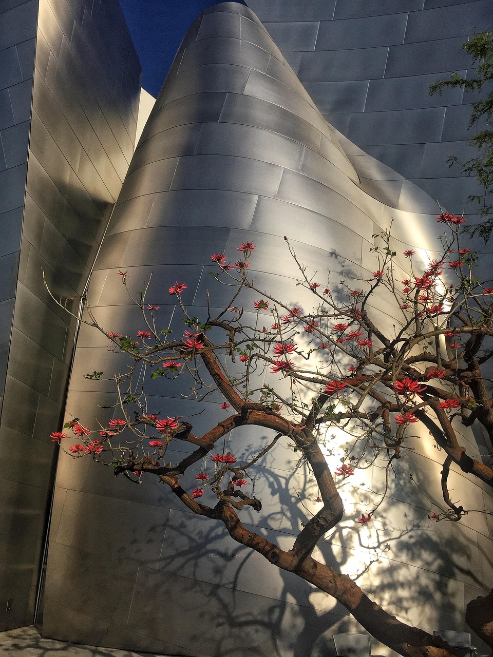 广德最新动态，城市发展的步伐与未来展望