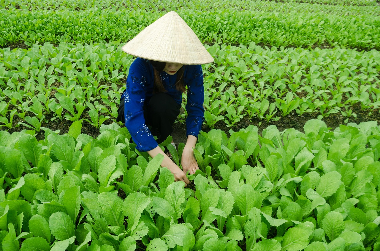 邯郸车祸最新动态，事故进展及反思