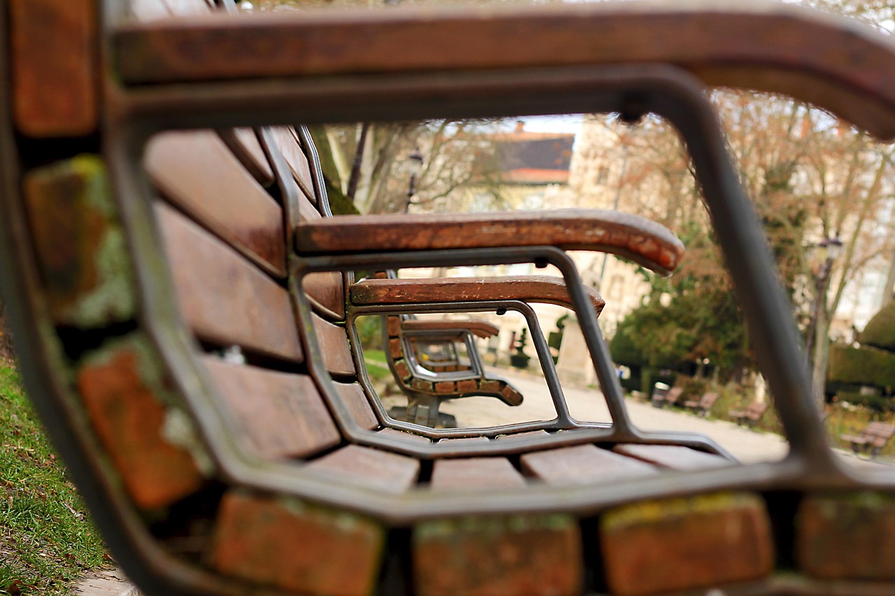 宜昌奥体中心最新动态,城市运动新坐标的崛起