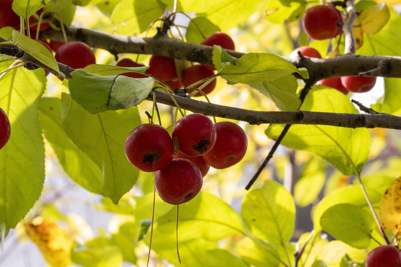 铁通最新动态,迈向数字化转型的新征程