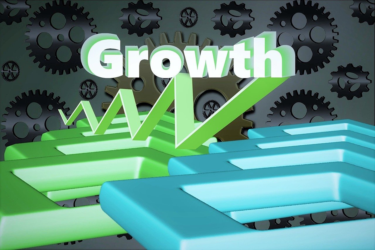 肉农资讯,行业洞察与未来展望