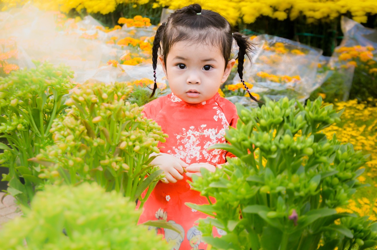 最新幼儿歌曲的魅力与影响，探索童音之美