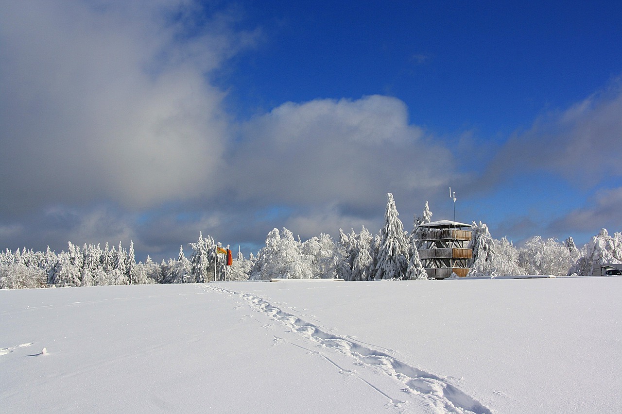 雪天最新魅力与风情展现