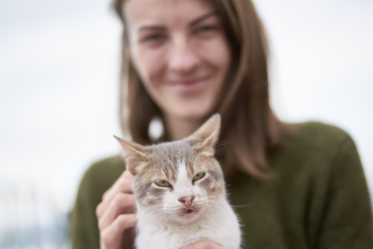 动漫女抱猫头像，情感与文化的交织之美