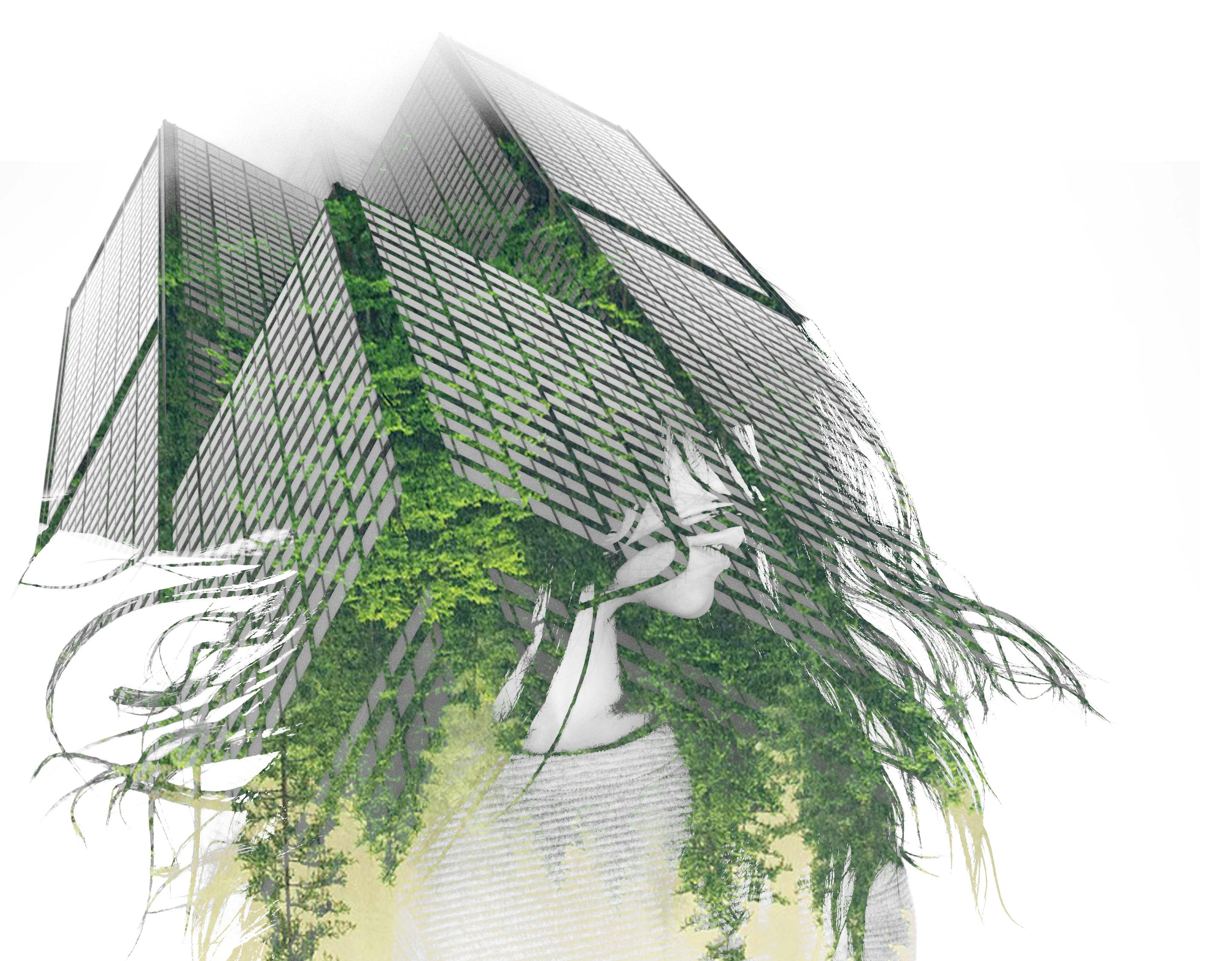 富阳古城重塑历史风貌与现代魅力的融合规划揭秘