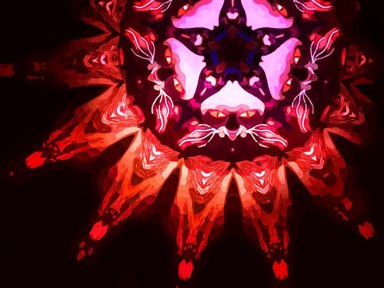 明星动态壁纸,时尚潮流与数字艺术的完美融合