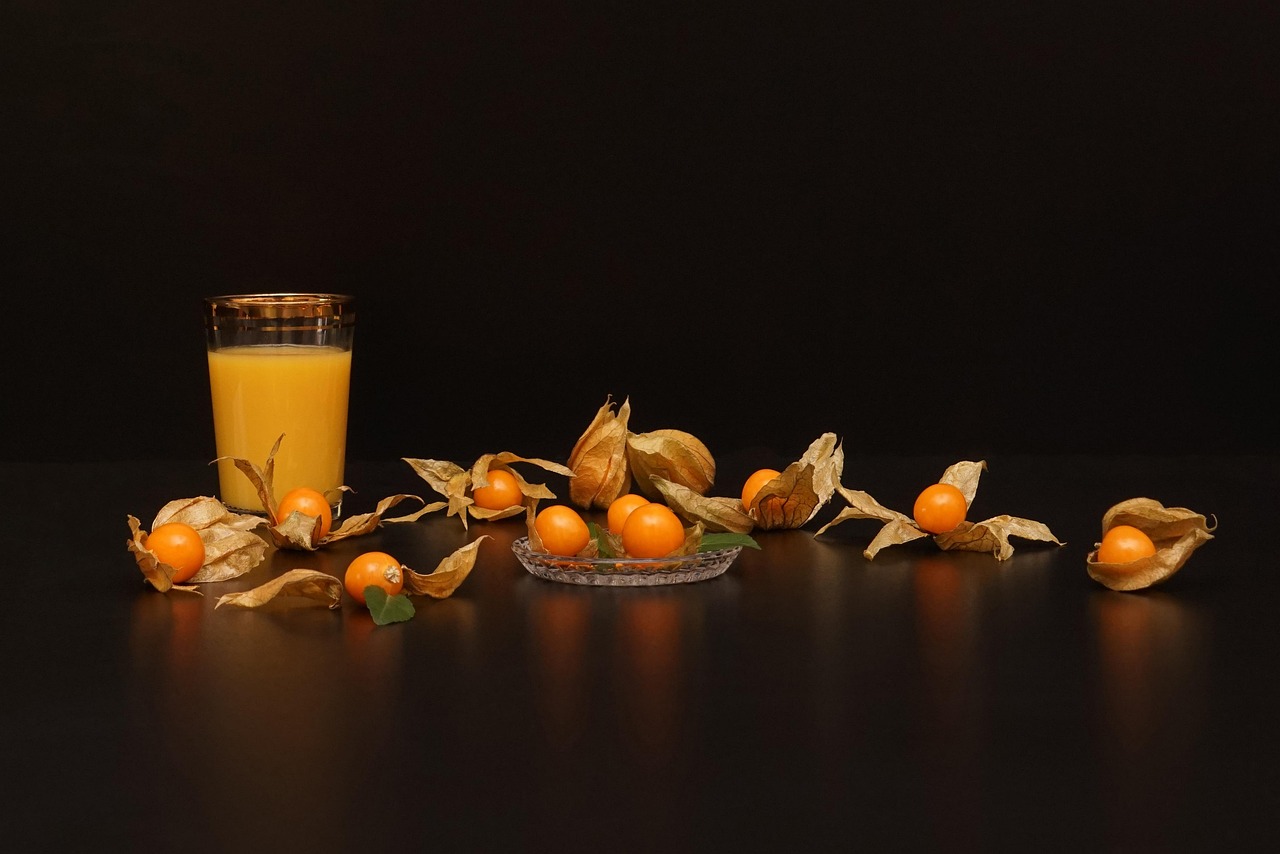 新沂康城府邸最新动态揭秘,未来生活的美好蓝图