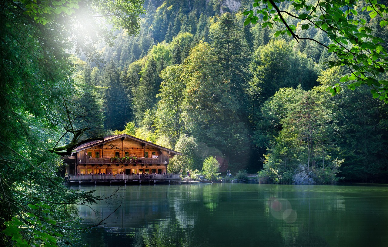 宜阳最新资讯概览，时事动态全掌握