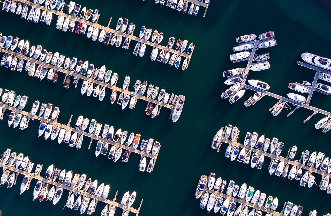 警惕最新诈骗网址,揭开网络诈骗的隐形面纱,保护个人信息安全