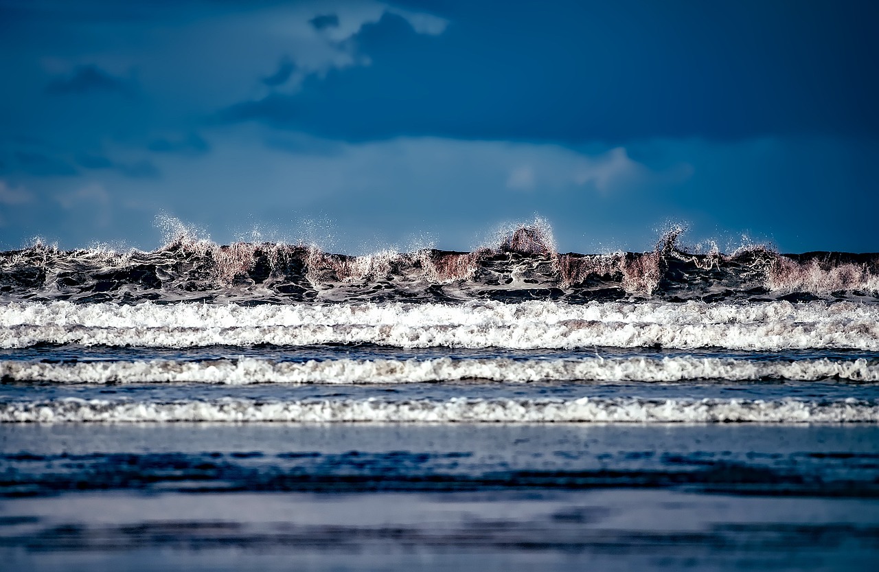 濮阳县张宏义最新动态,引领发展,塑造未来之路