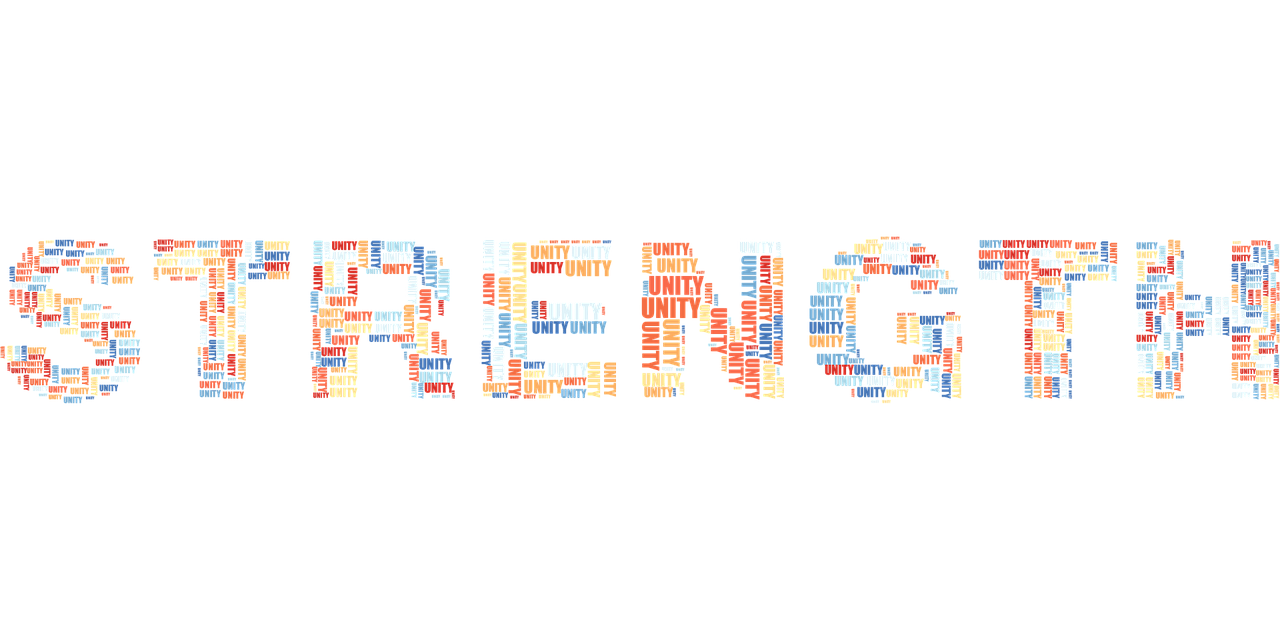 迈瑞医疗,股票背后的强大实力与稳健力量