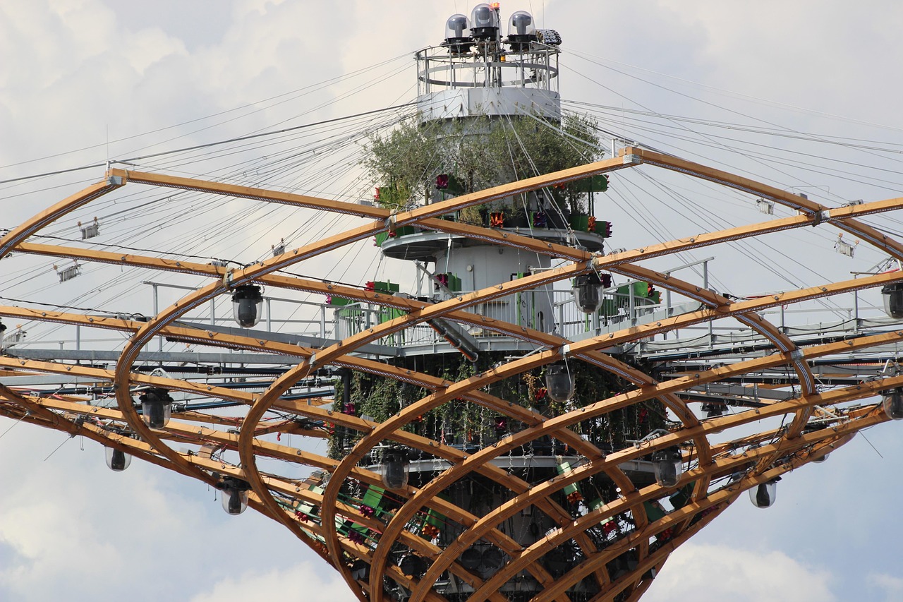 锦悦桦庭最新动态视频,展现生活美学的魅力风采