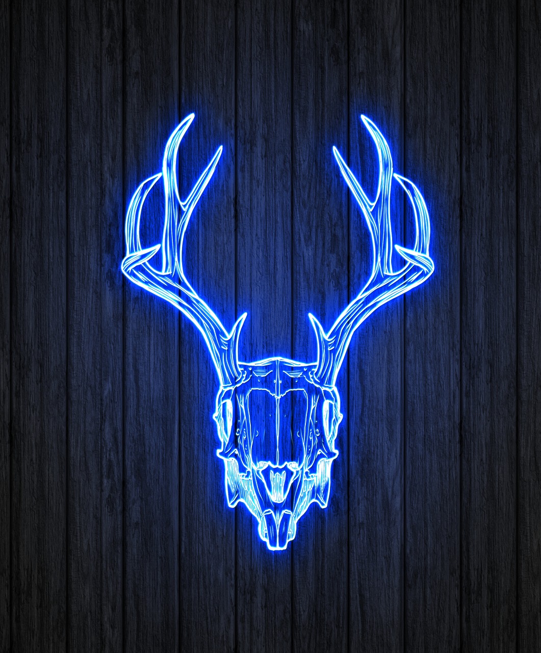 动漫头吧的魅力与影响力探究