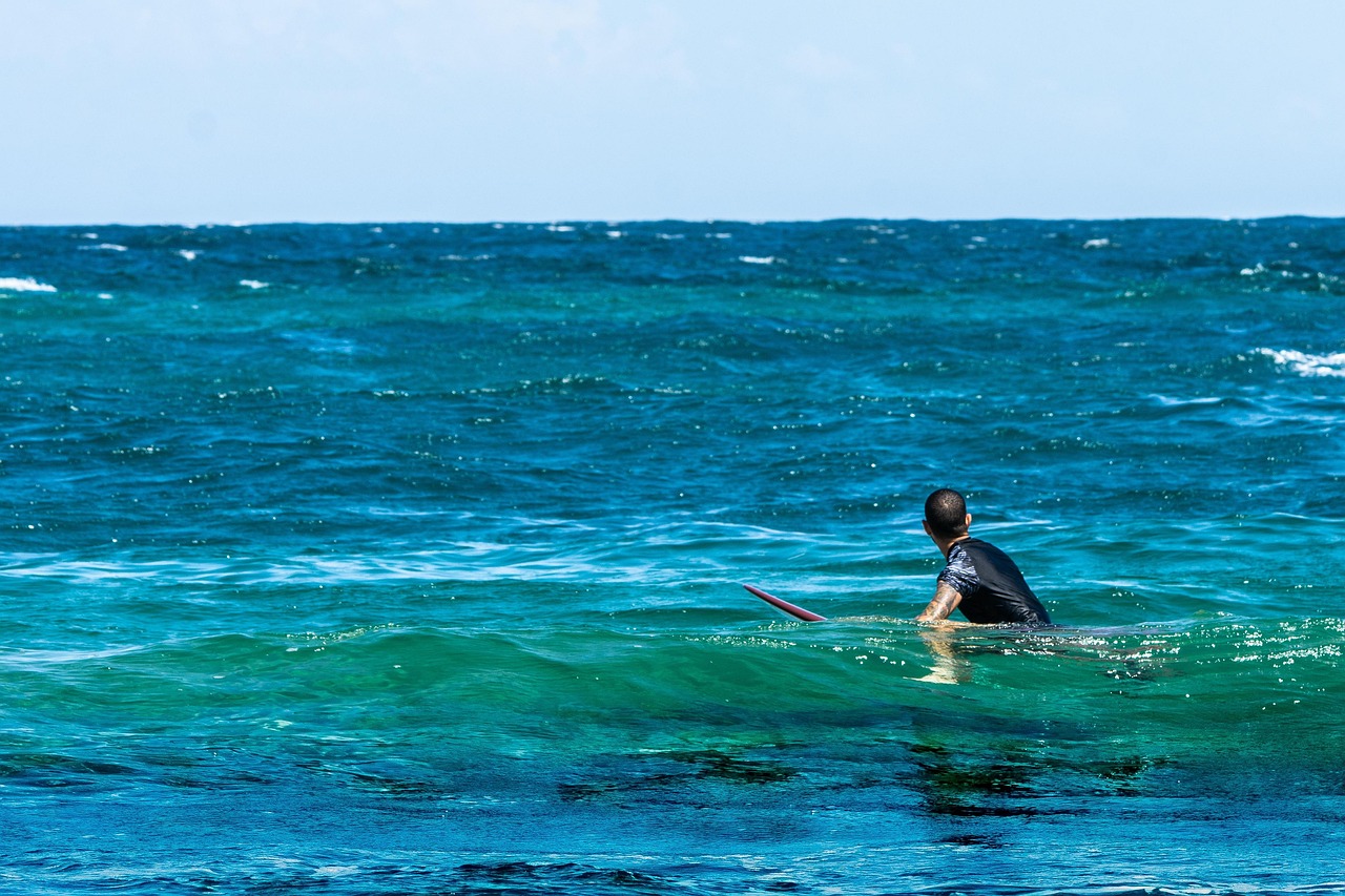 动漫鲸鱼，海洋巨人与文化融合的魅力