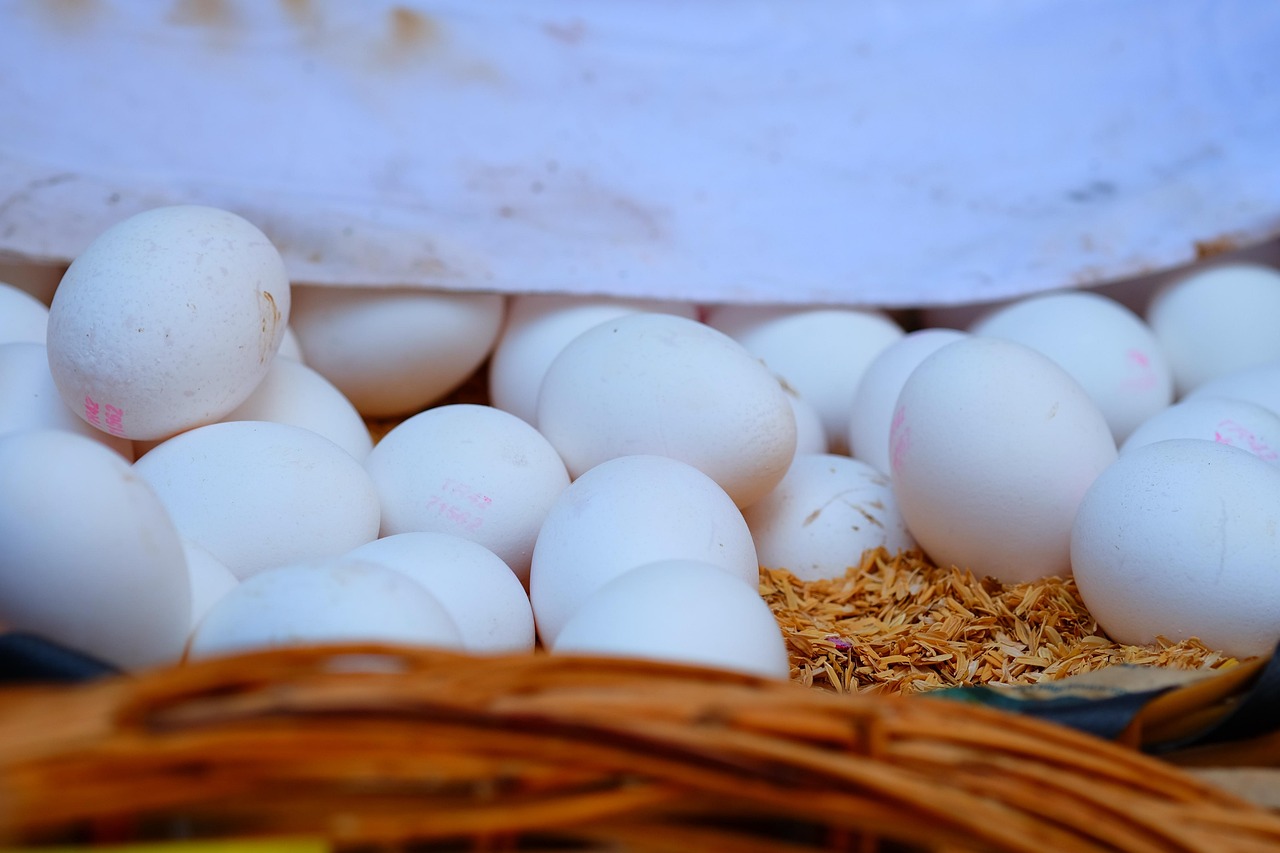 安徽芜湖楼市动态及市场趋势与前景展望