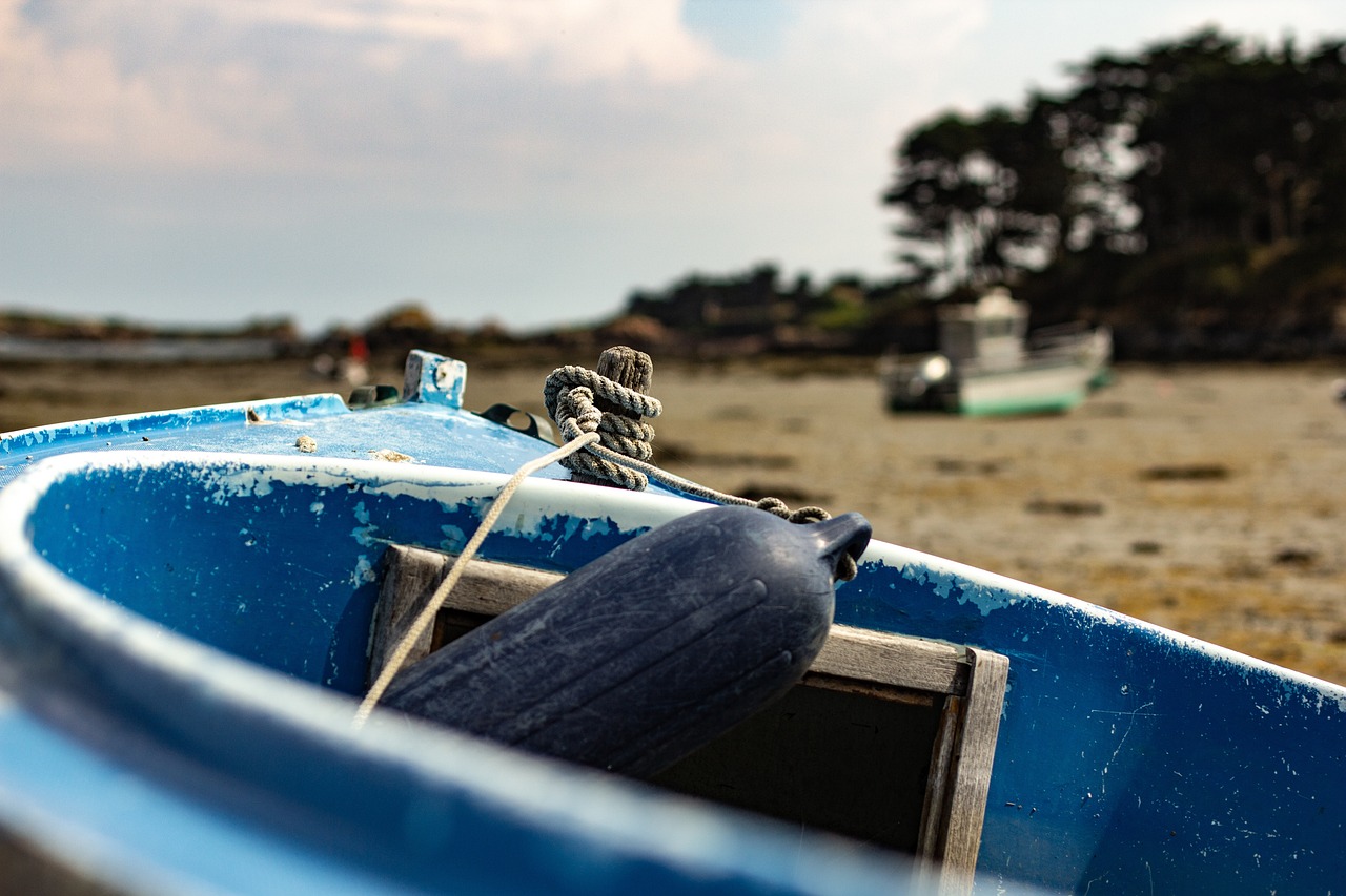 韶关疫情最新动态,全面应对,守护家园安宁