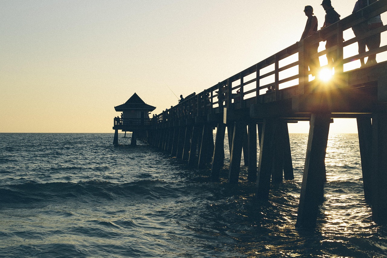 探索自然与科技的和谐融合,最新丫丫画面展示