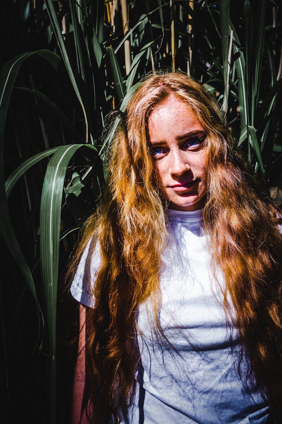 头发稀疏的明星,独特魅力的展现与影响力不减风采