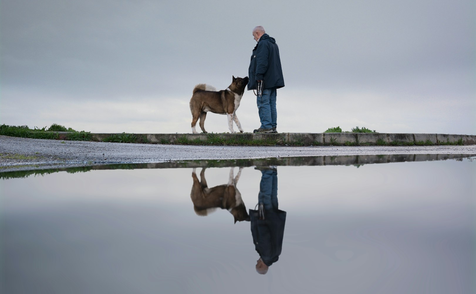 母子电影,情感交织的视觉盛宴之旅