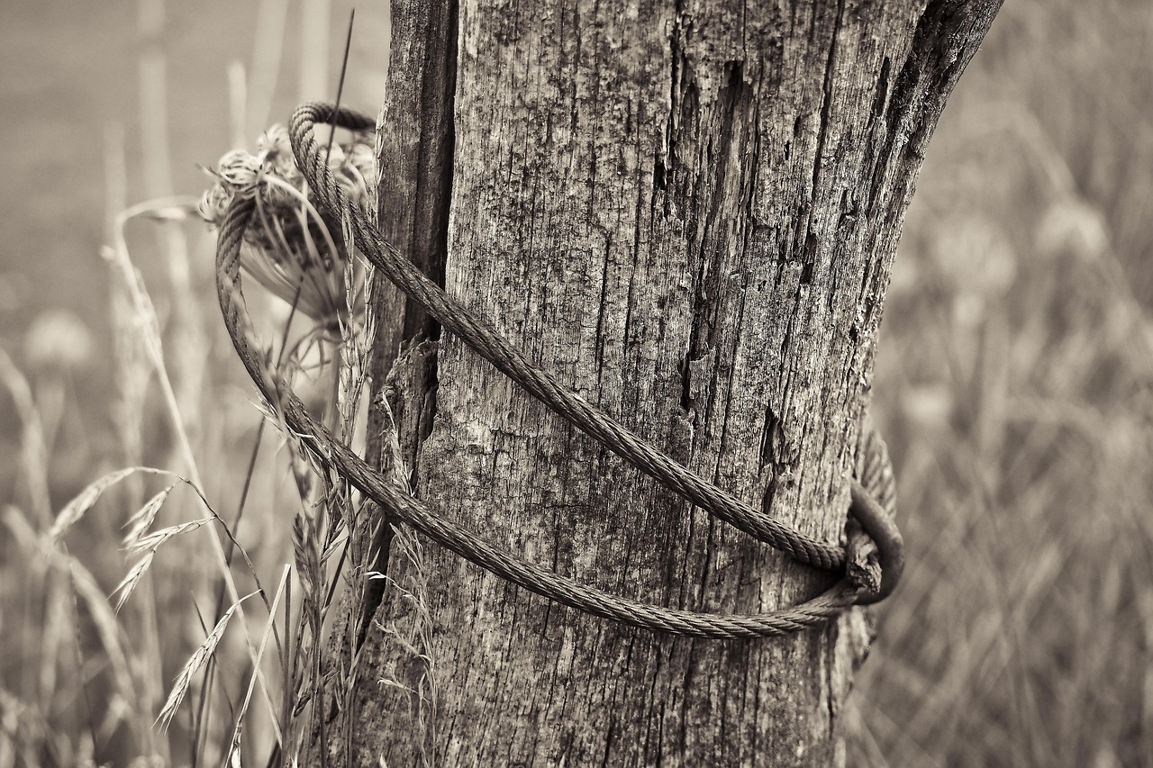 晋江金井最新职位招聘动态与机会深度探讨