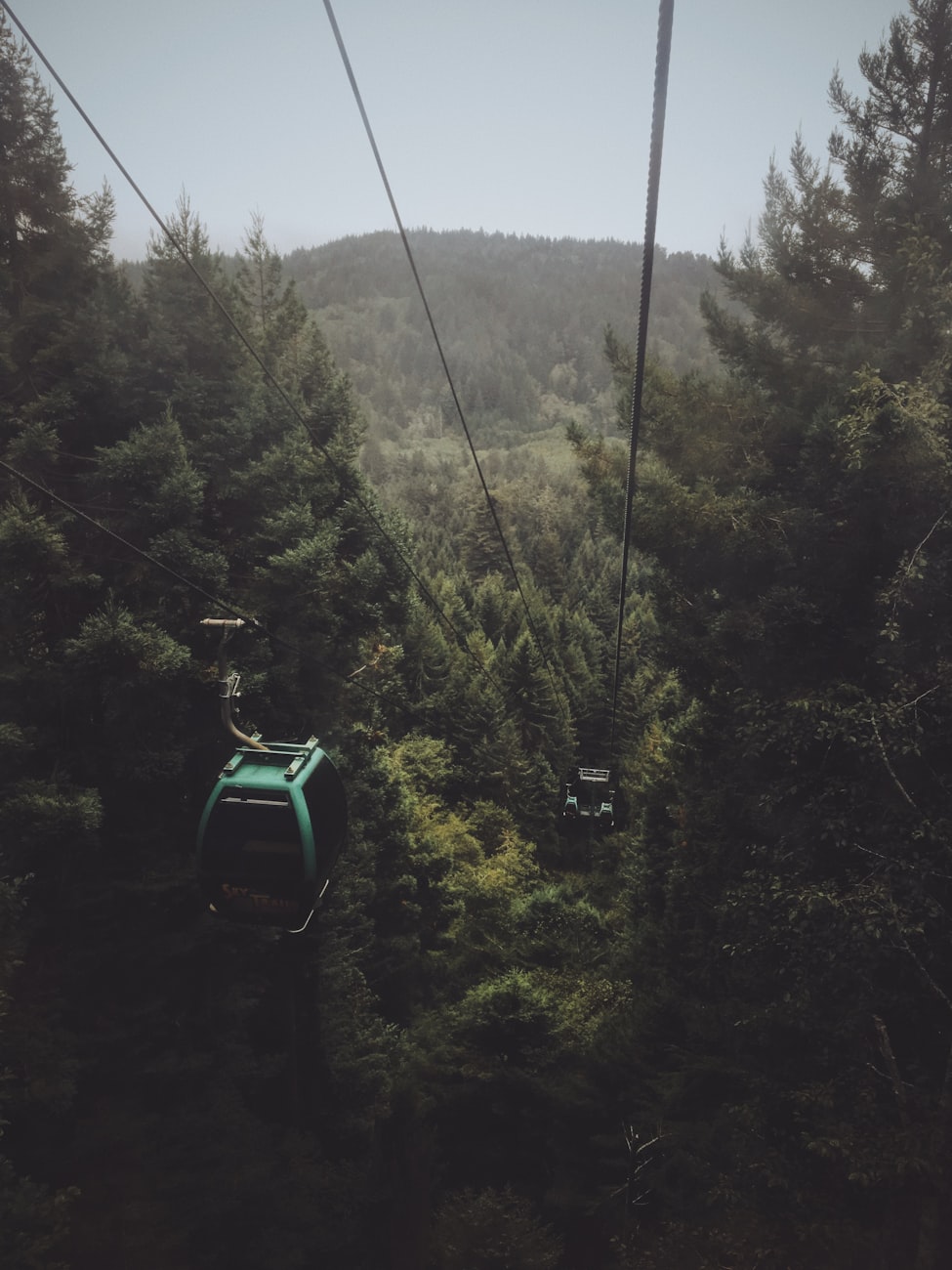 夜幕低垂,电影中的神秘魅力探索