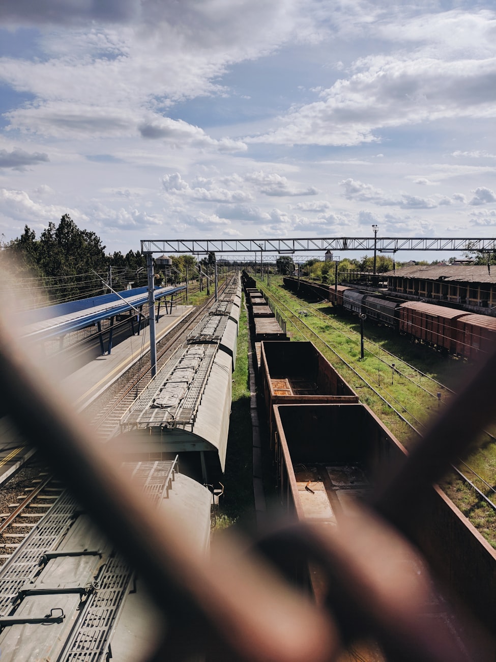 佛清高速公路最新进展报告更新,施工进展一览