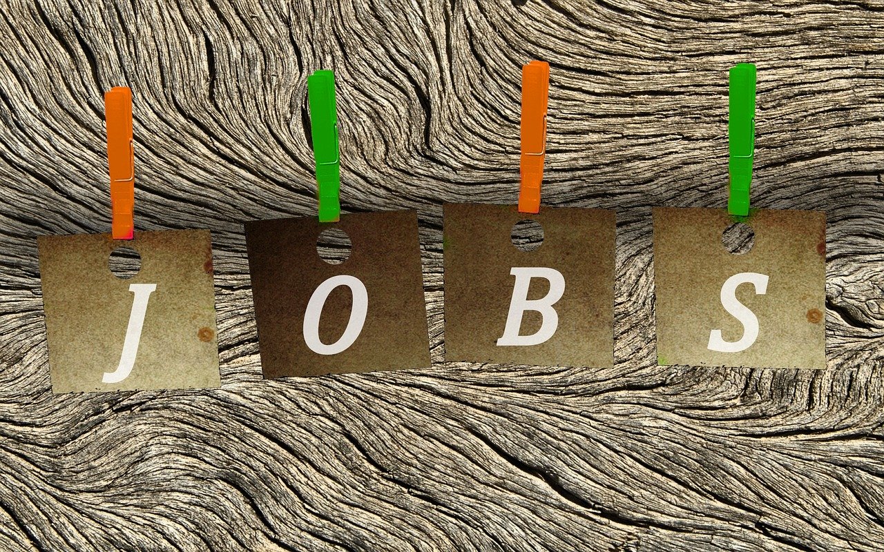 武城最新职位招聘动态与机会深度探讨