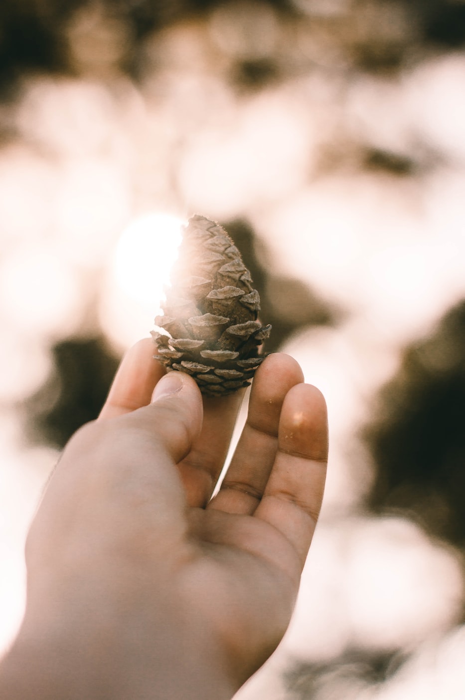 浙江人才发展与创新引领,人事动态聚焦新篇章