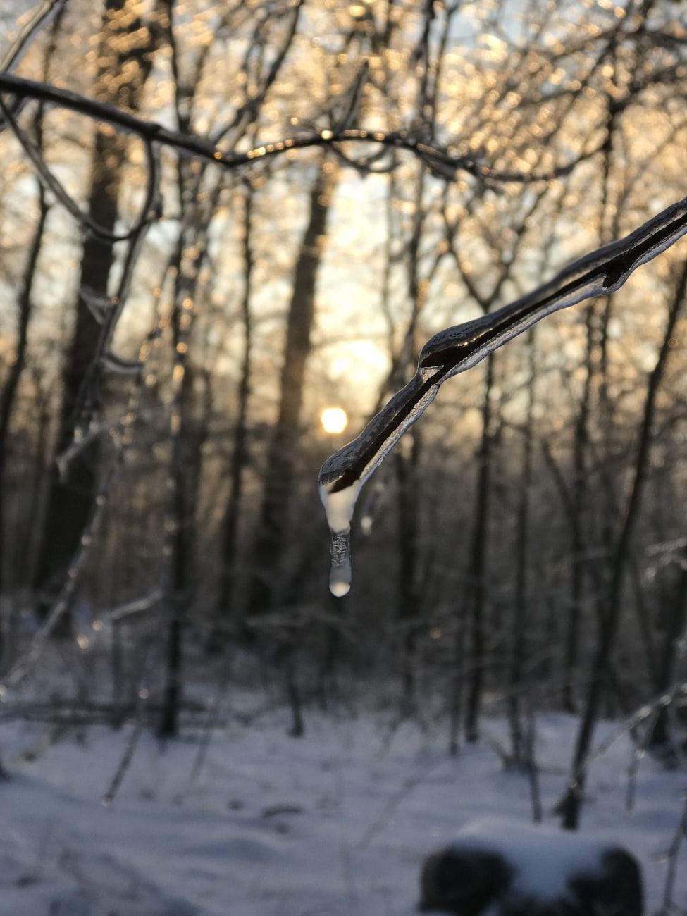 花虾金融最新动态引领金融科技新风潮